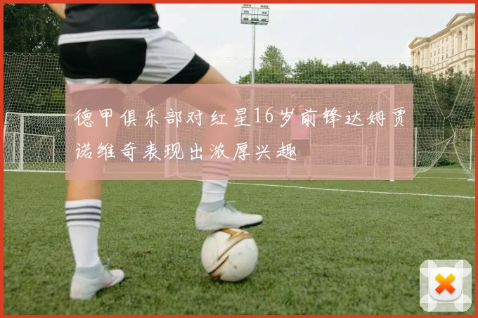 德甲俱乐部对红星16岁前锋达姆贾诺维奇表现出浓厚兴趣