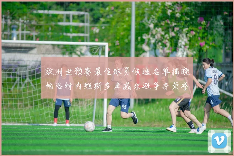 欧洲世预赛最佳球员候选名单揭晓帕洛特内维斯多库威尔逊争夺荣誉