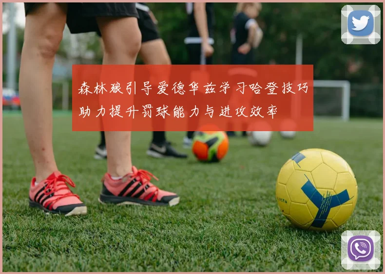 森林狼引导爱德华兹学习哈登技巧助力提升罚球能力与进攻效率